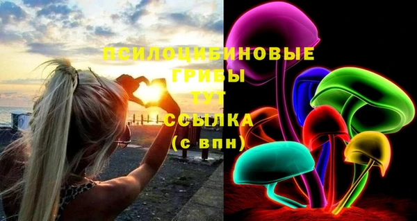ECSTASY Чекалин