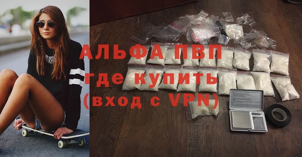 ECSTASY Чекалин