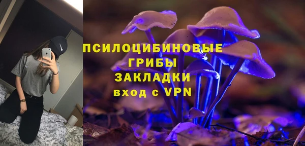 дживик Конаково