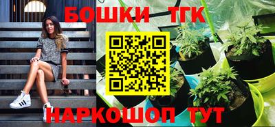 бошки Гатчина