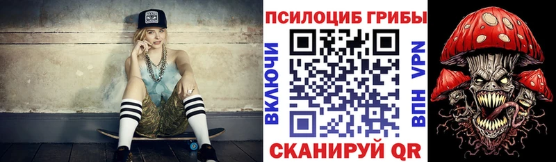ОМГ ОМГ как войти  Боровичи  Псилоцибиновые грибы GOLDEN TEACHER  где купить  