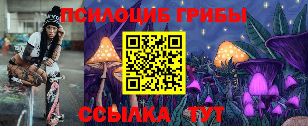 Боровичи  Галлюциногенные грибы Cubensis  Вход с VPN  Псилоцибиновые грибы MAGIC MUSHROOMS 