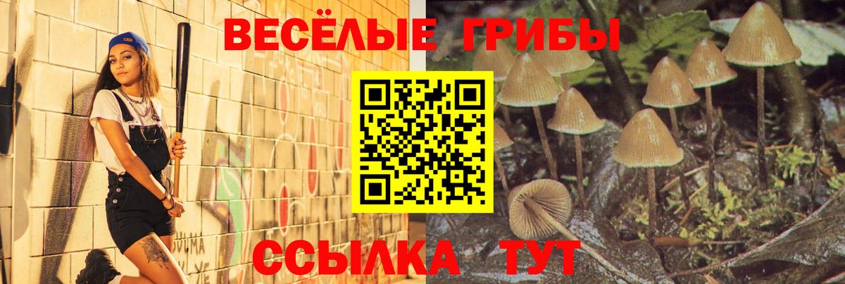 купить наркоту  Боровичи  Галлюциногенные грибы Magic Shrooms 